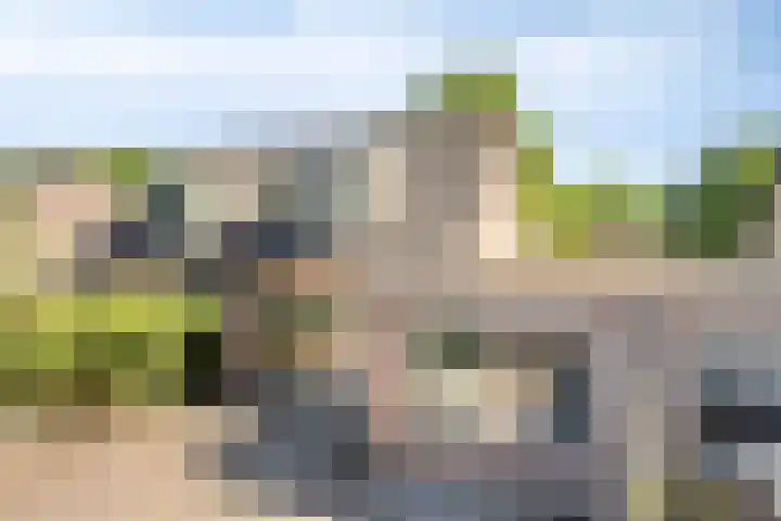 Velduil 31 Emmen thumbnail 4