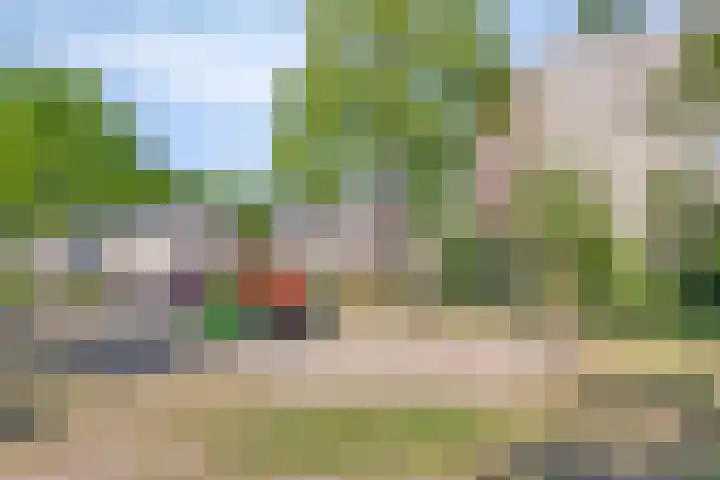 Velduil 31 Emmen thumbnail 40