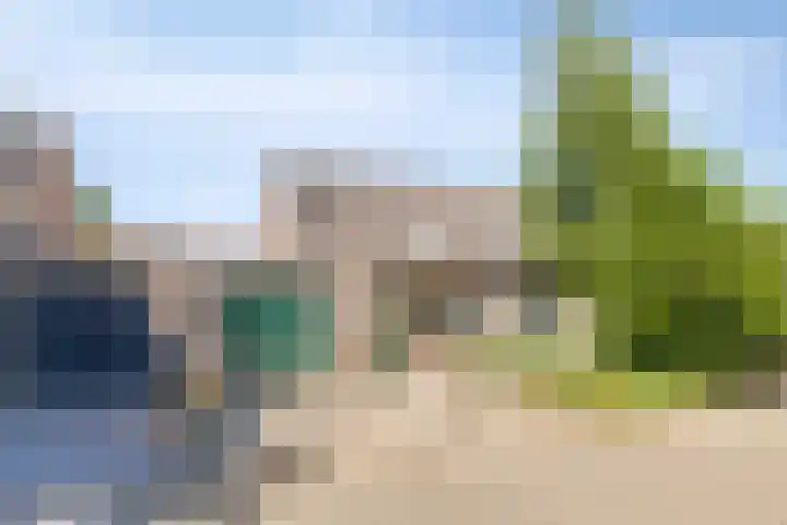 Velduil 31 Emmen thumbnail 43