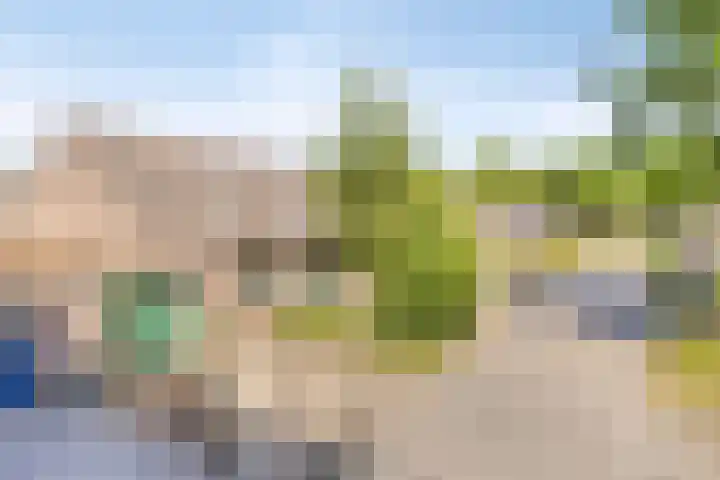 Velduil 31 Emmen thumbnail 5
