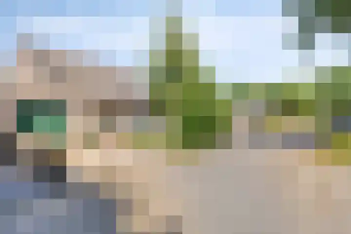 Velduil 31 Emmen thumbnail 6