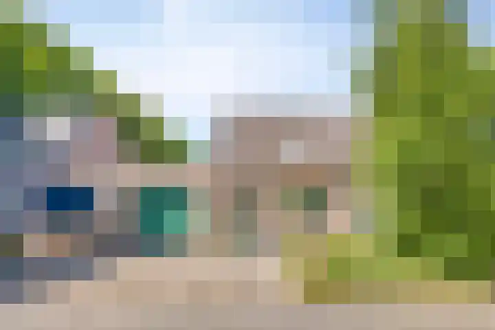 Velduil 31 Emmen thumbnail 7