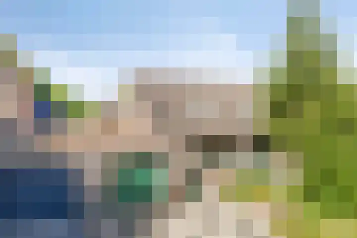 Velduil 31 Emmen thumbnail 9