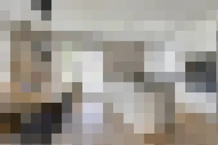 Veldwachter 44 Wijchen thumbnail 10