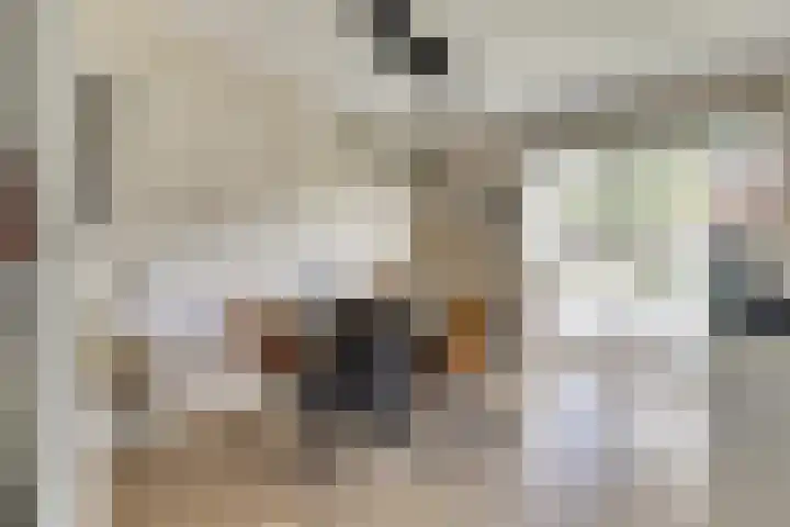 Veldwachter 44 Wijchen thumbnail 11