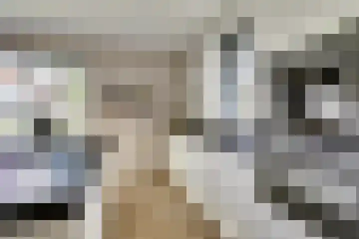 Veldwachter 44 Wijchen thumbnail 12