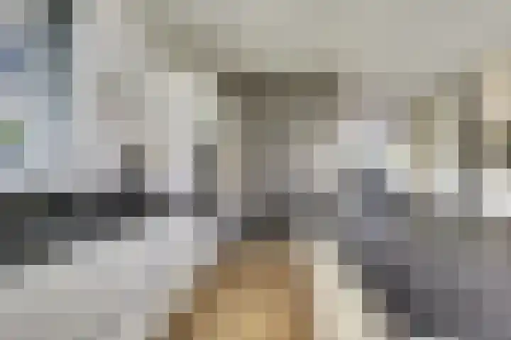 Veldwachter 44 Wijchen thumbnail 13