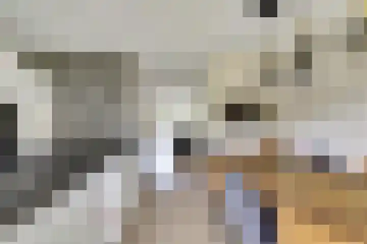 Veldwachter 44 Wijchen thumbnail 15