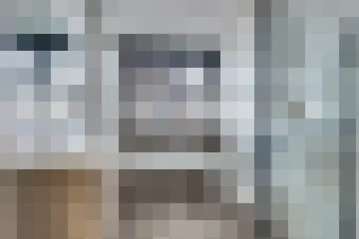 Veldwachter 44 Wijchen thumbnail 24