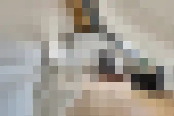 Veldwachter 44 Wijchen thumbnail 29