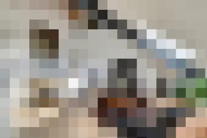 Veldwachter 44 Wijchen thumbnail 30