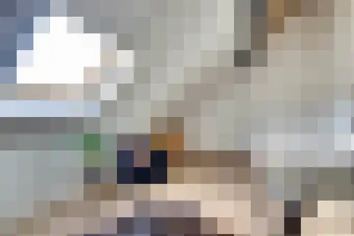 Veldwachter 44 Wijchen thumbnail 31