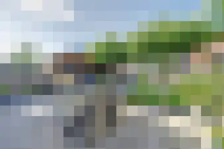 Veldwachter 44 Wijchen thumbnail 33
