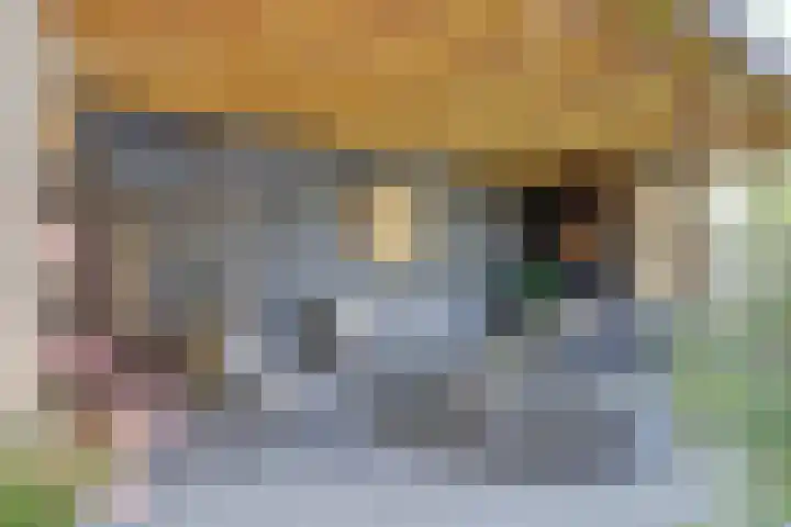 Veldwachter 44 Wijchen thumbnail 34