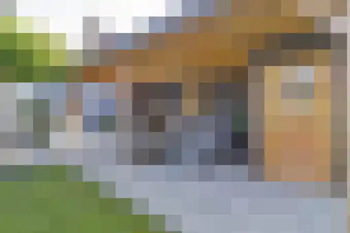Veldwachter 44 Wijchen thumbnail 35