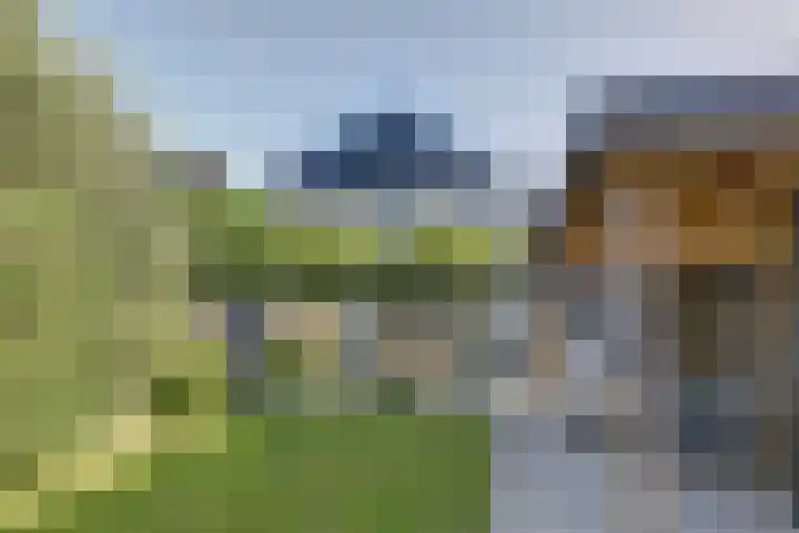 Veldwachter 44 Wijchen thumbnail 37