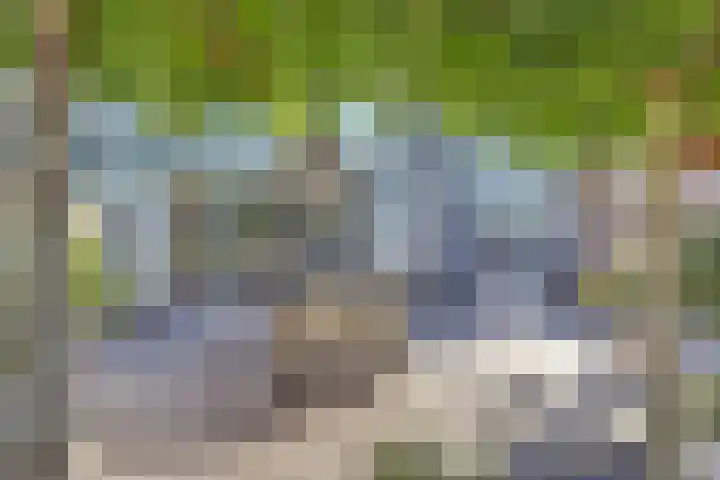 Veldwachter 44 Wijchen thumbnail 38