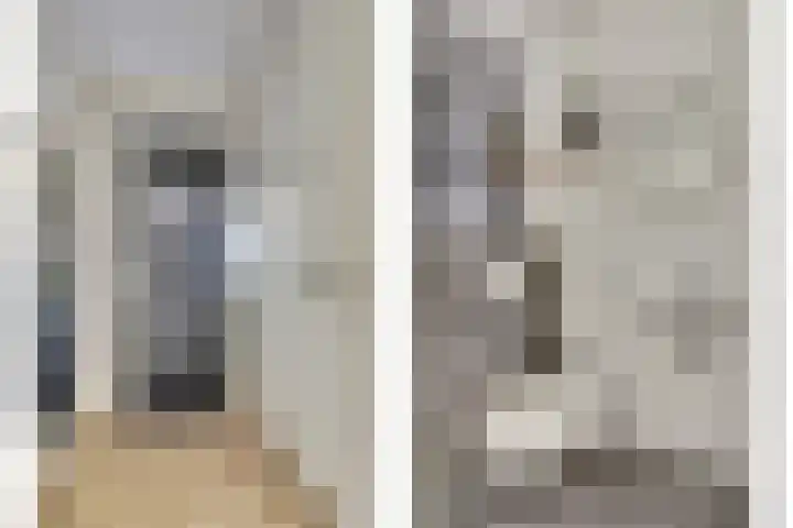 Veldwachter 44 Wijchen thumbnail 4