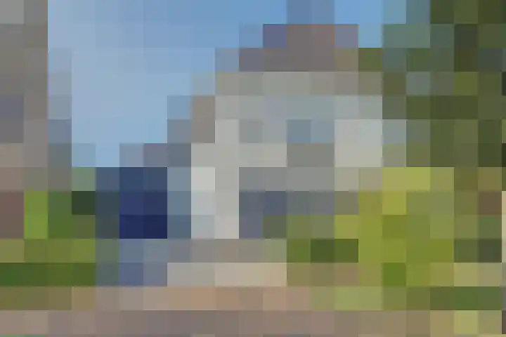 Veldwachter 44 Wijchen thumbnail 49