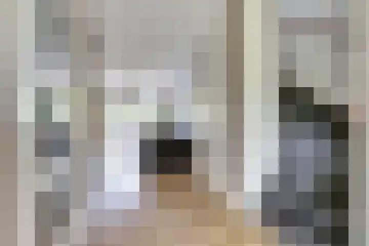 Veldwachter 44 Wijchen thumbnail 5