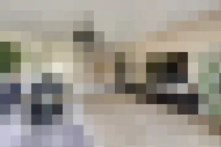 Veldwachter 44 Wijchen thumbnail 8