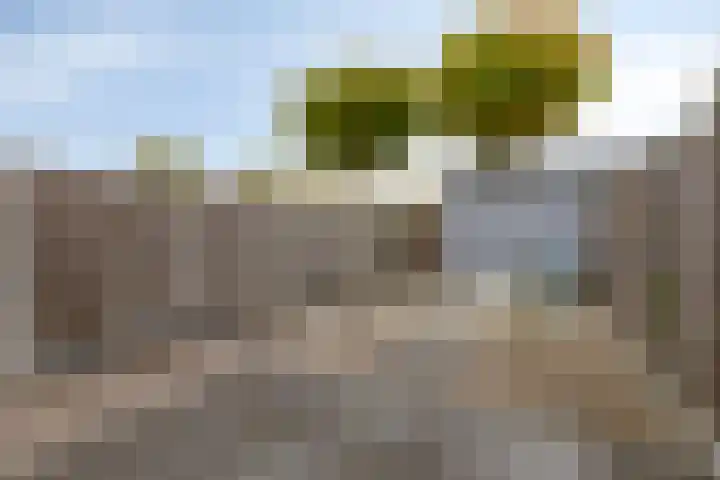 Veldwachter 8 Wijchen thumbnail 22