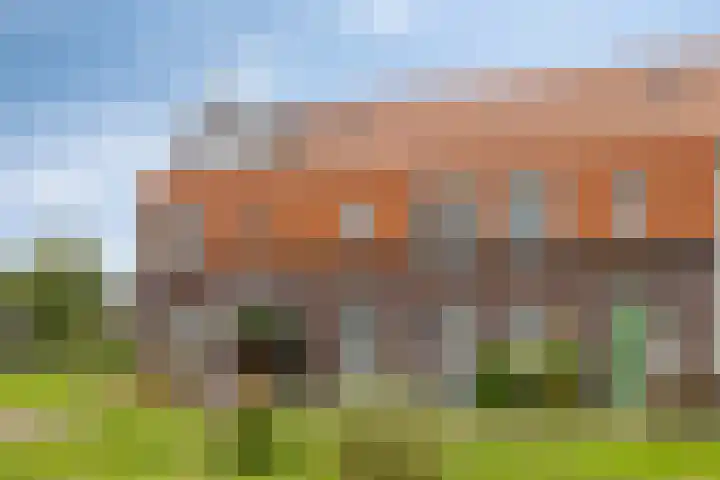 Veldwachter 8 Wijchen thumbnail 25