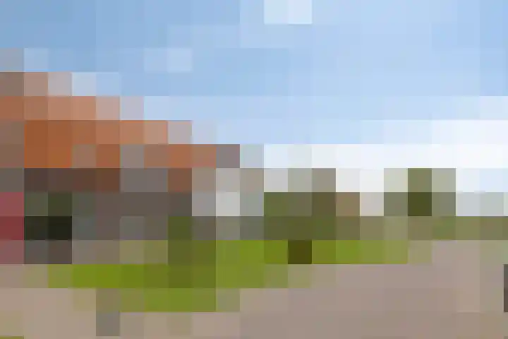 Veldwachter 8 Wijchen thumbnail 27