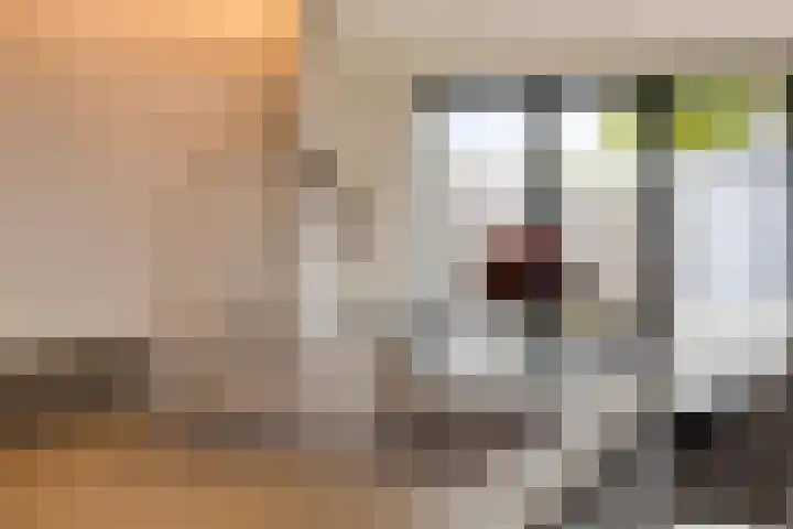Veldwachter 8 Wijchen thumbnail 7