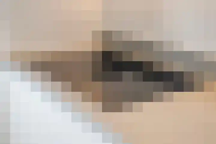 Veldwachter 8 Wijchen thumbnail 8