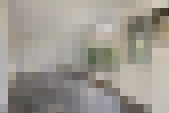 Veldweg 1 Wijchen thumbnail 15