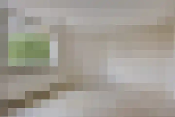 Veldweg 1 Wijchen thumbnail 16