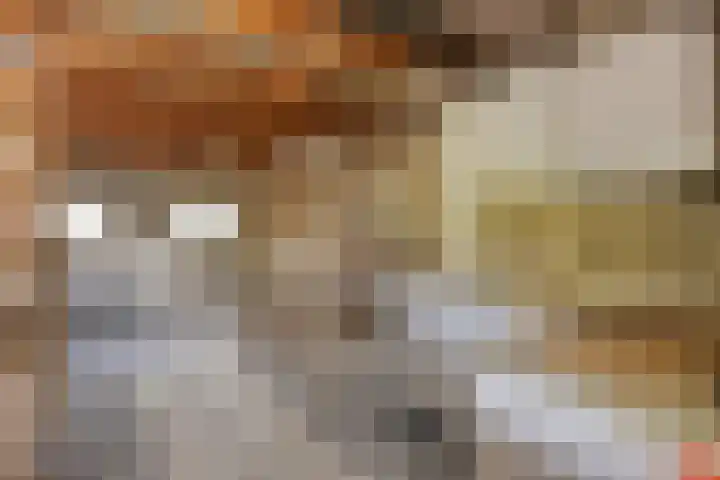 Veldweg 1 Wijchen thumbnail 37