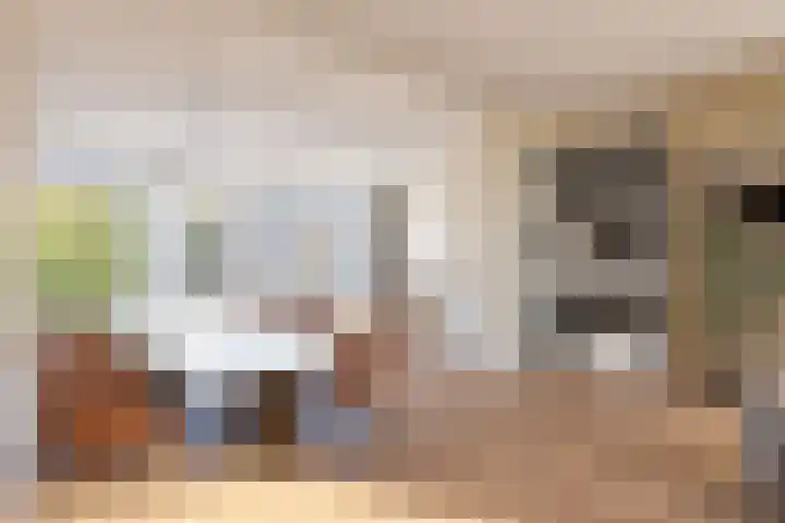 Veldweg 1 Wijchen thumbnail 4