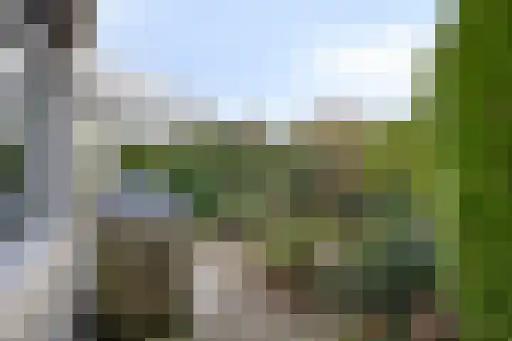 Veldweg 1 Wijchen thumbnail 41