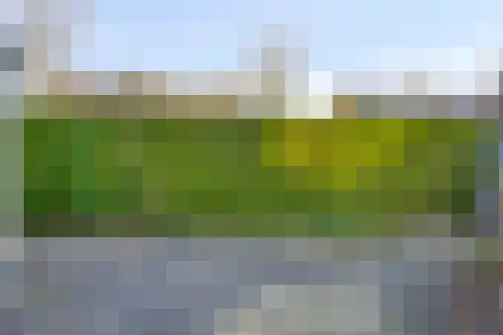 Veldweg 1 Wijchen thumbnail 42