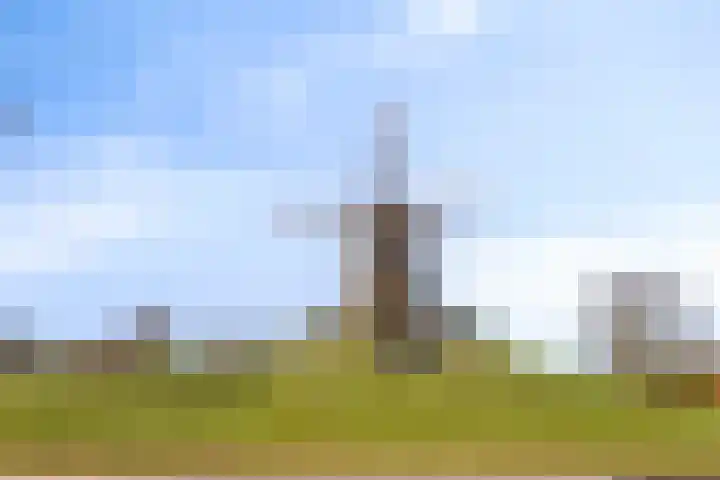 Veldweg 1 Wijchen thumbnail 46