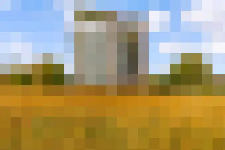 Veldweg 22 Almere thumbnail 4