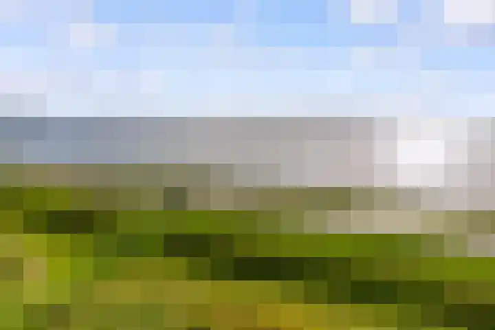 Veldweg 22 Almere thumbnail 44