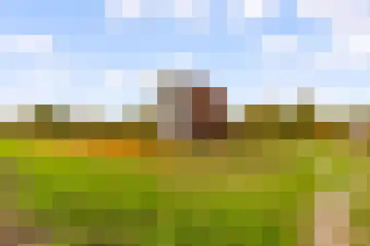 Veldweg 22 Almere thumbnail 7