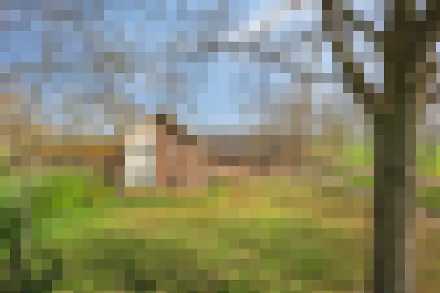 Veldweg 3 Herpt thumbnail 10