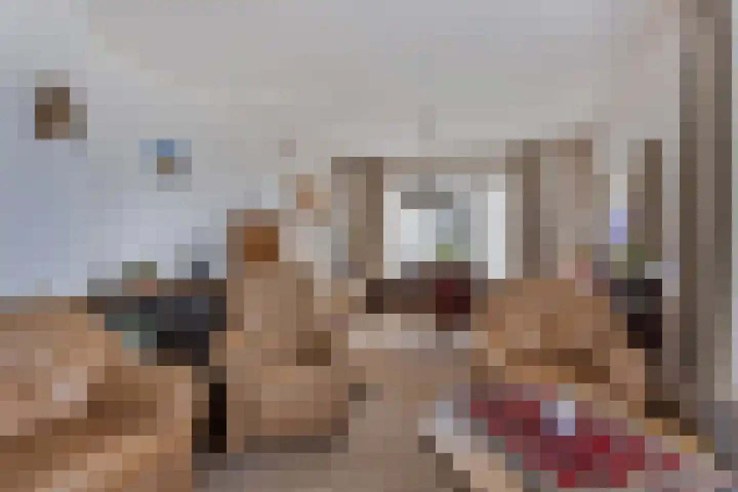 Veldweg 3 Herpt thumbnail 16