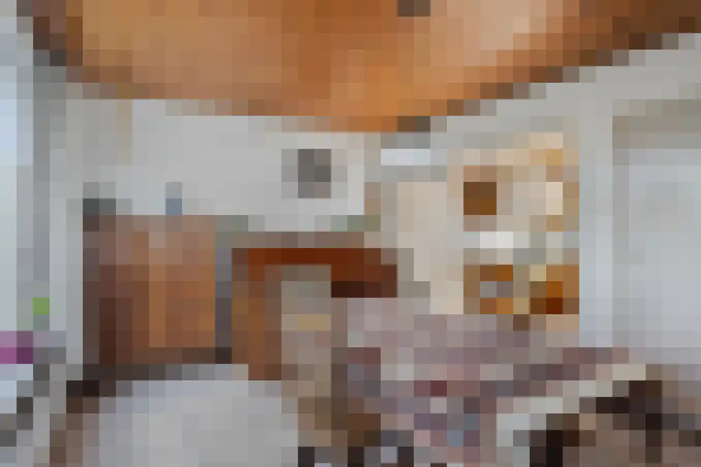 Veldweg 3 Herpt thumbnail 21