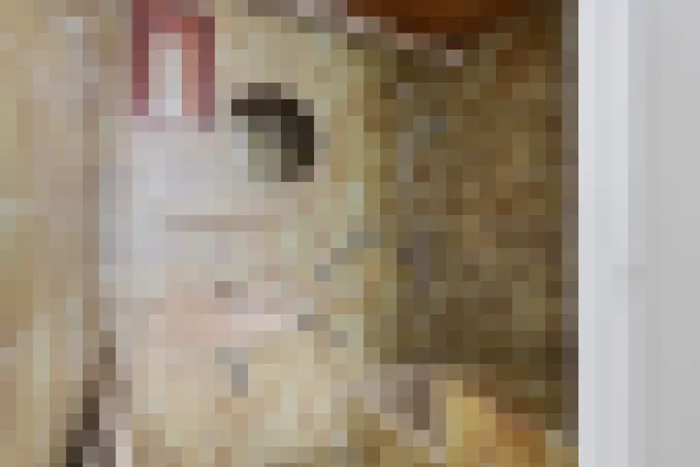 Veldweg 3 Herpt thumbnail 31