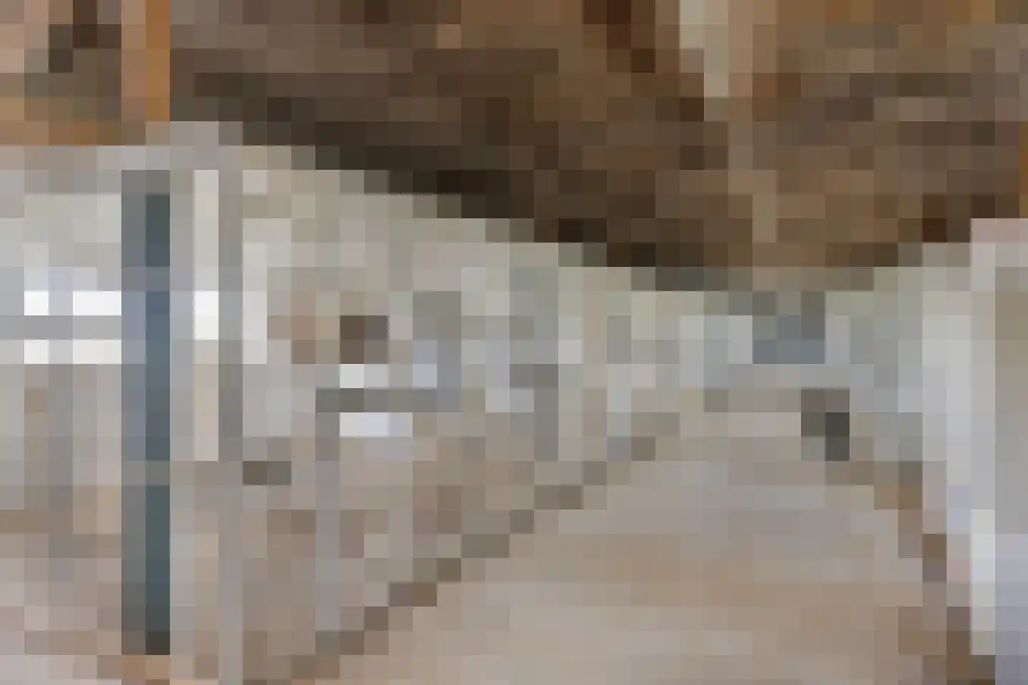 Veldweg 3 Herpt thumbnail 51