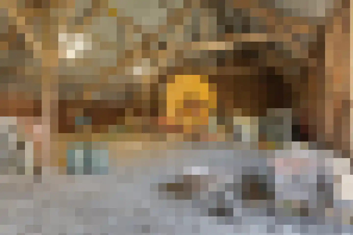 Veldweg 3 Herpt thumbnail 56
