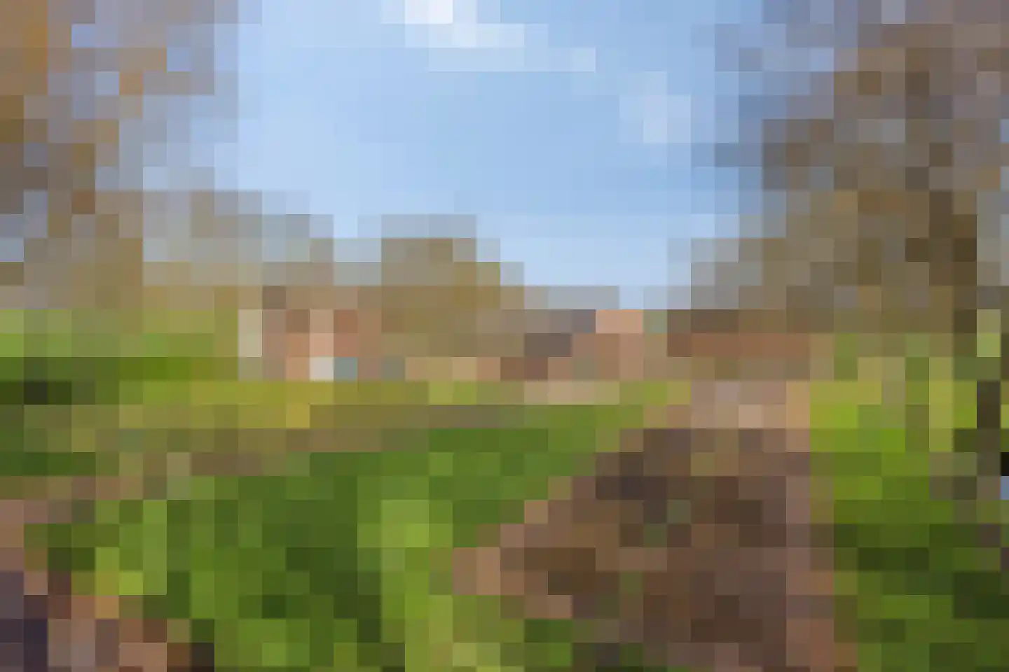 Veldweg 3 Herpt thumbnail 61