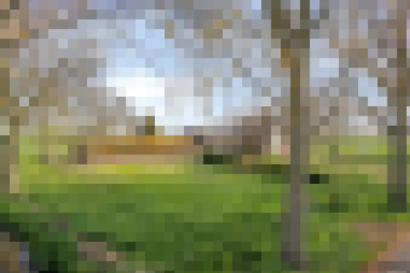 Veldweg 3 Herpt thumbnail 63