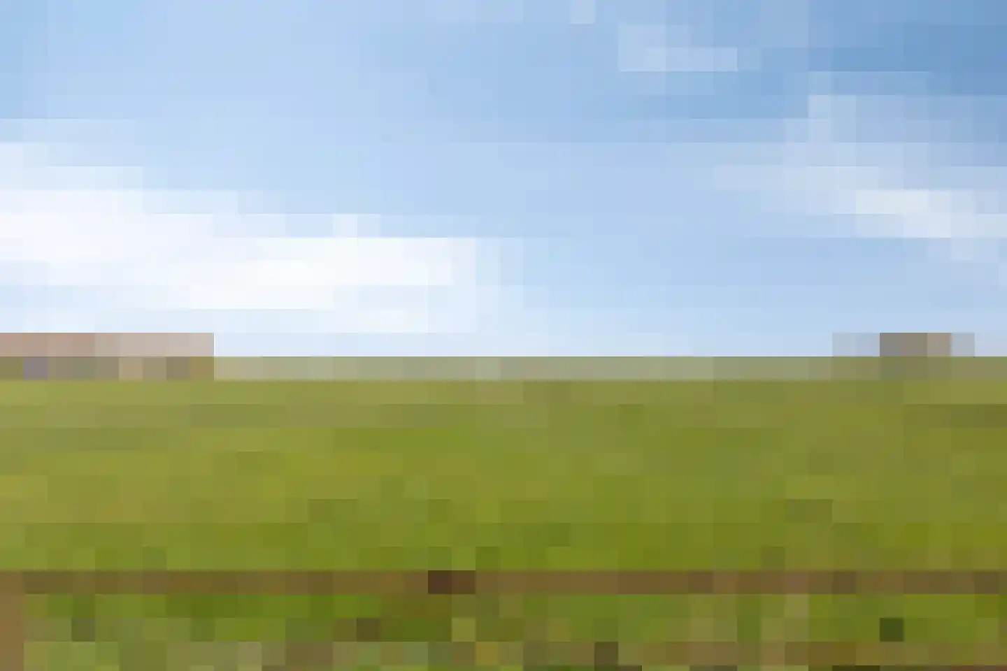 Veldweg 3 Herpt thumbnail 66