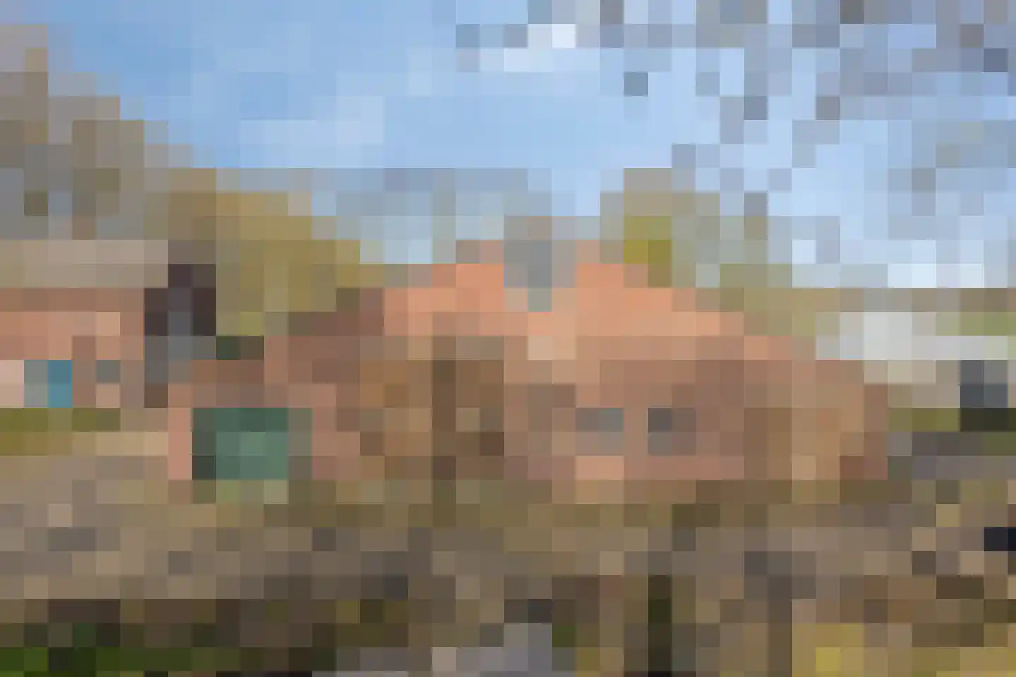 Veldweg 3 Herpt thumbnail 7